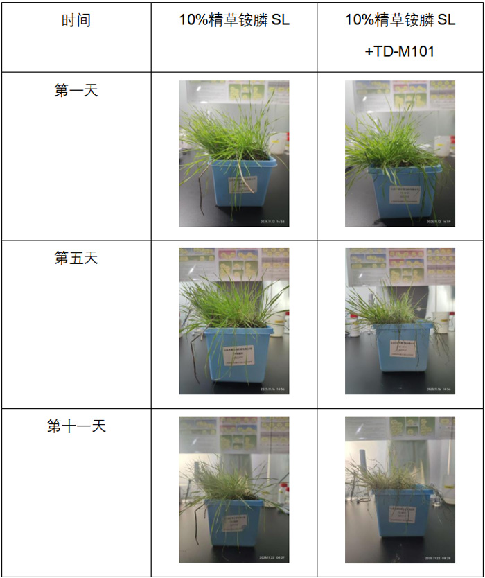 微信圖片_20260414111219_2606_12.jpg